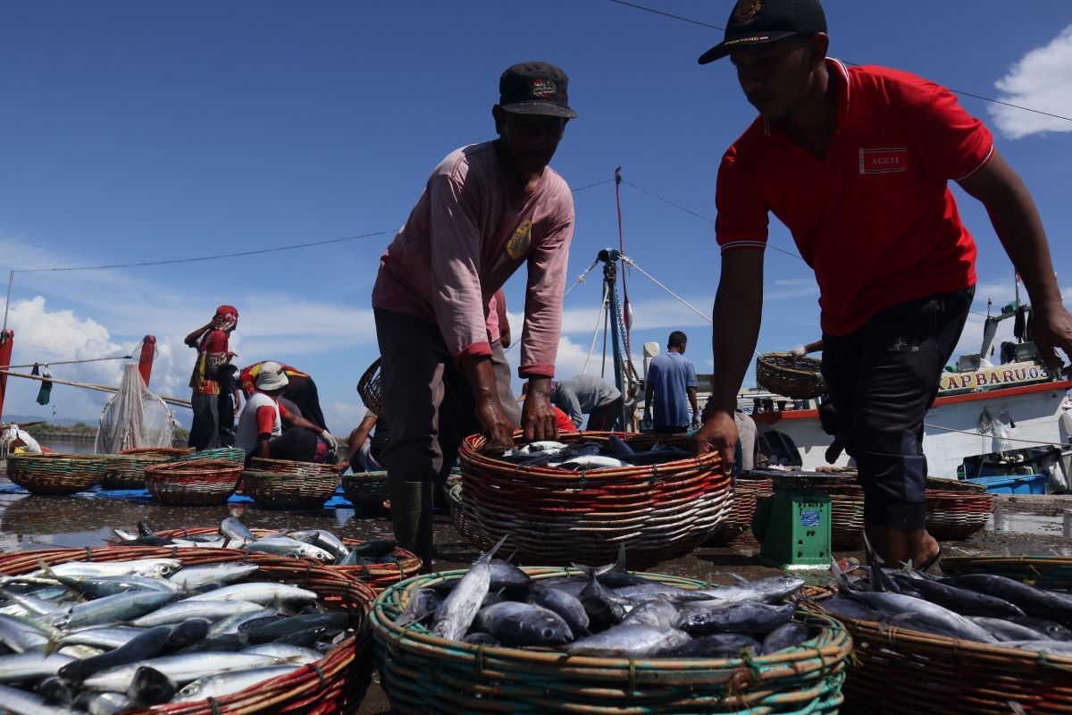 Harga naik di Banda Aceh