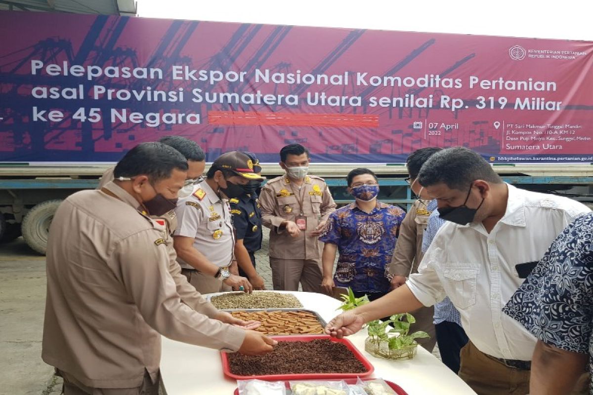 Sumatera Utara ekspor lobak rebus ke Jepang