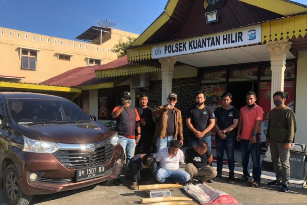 Polisi ringkus pelaku jual beli gading gajah di Kuansing