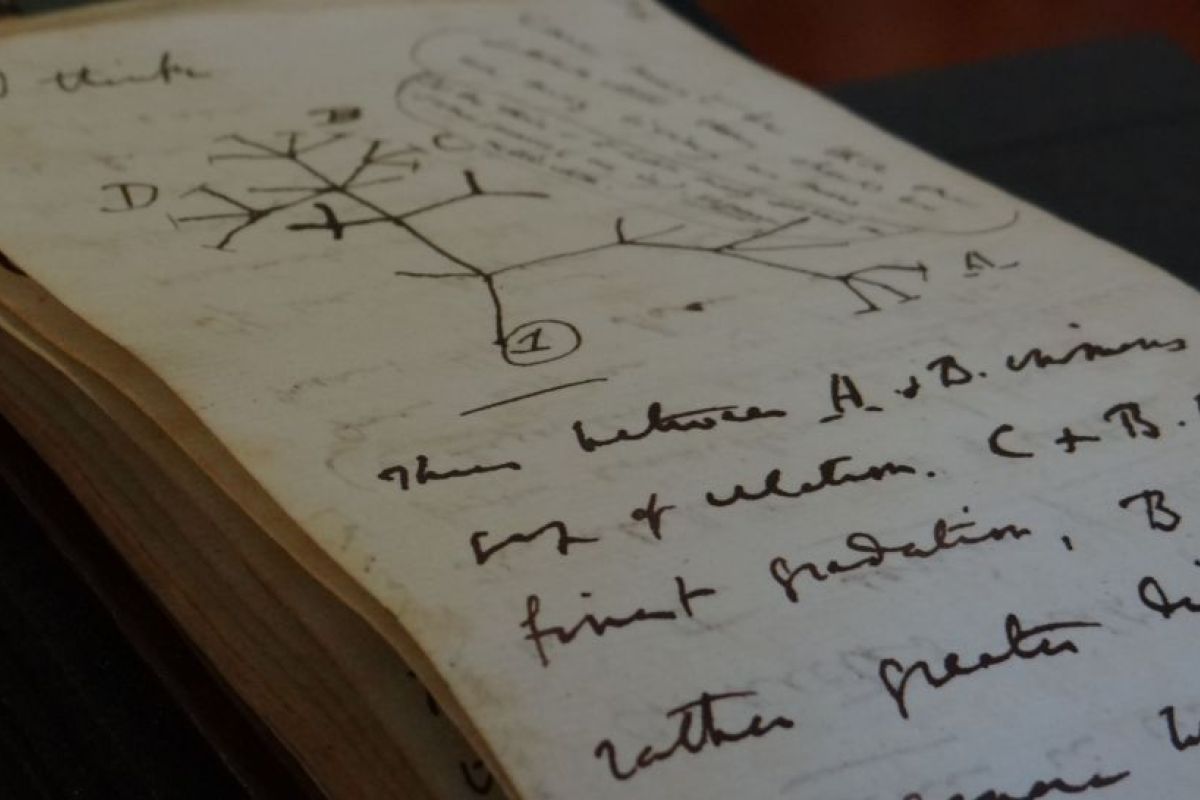 Buku catatan ikonis Charles Darwin ditemukan setelah 20 tahun dicuri