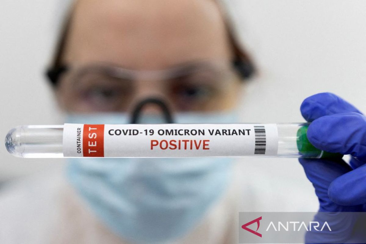 Riset: Infeksi Omicron timbulkan respons imun terbatas pada orang nirvaksin