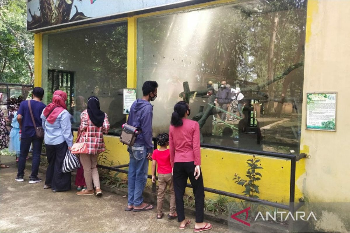 TSTJ membuka paket sedekah satwa selama Ramadhan