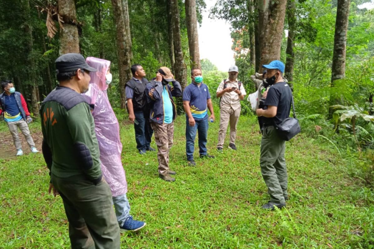 Danone-Aqua jalin kerja sama pelestarian TN Gunung Halimun Salak