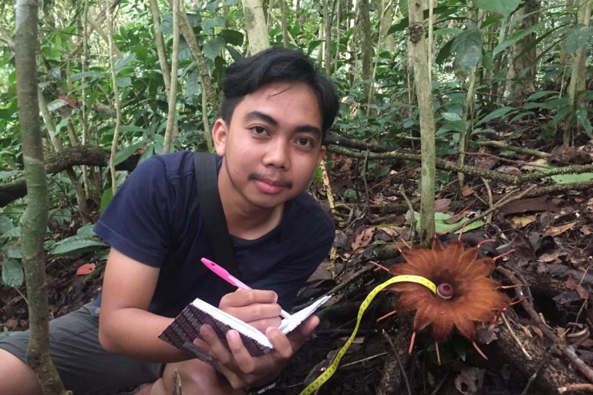 43 individu bunga rhizanthes ditemukan di Cagar Alam Batang Palupuh Agam