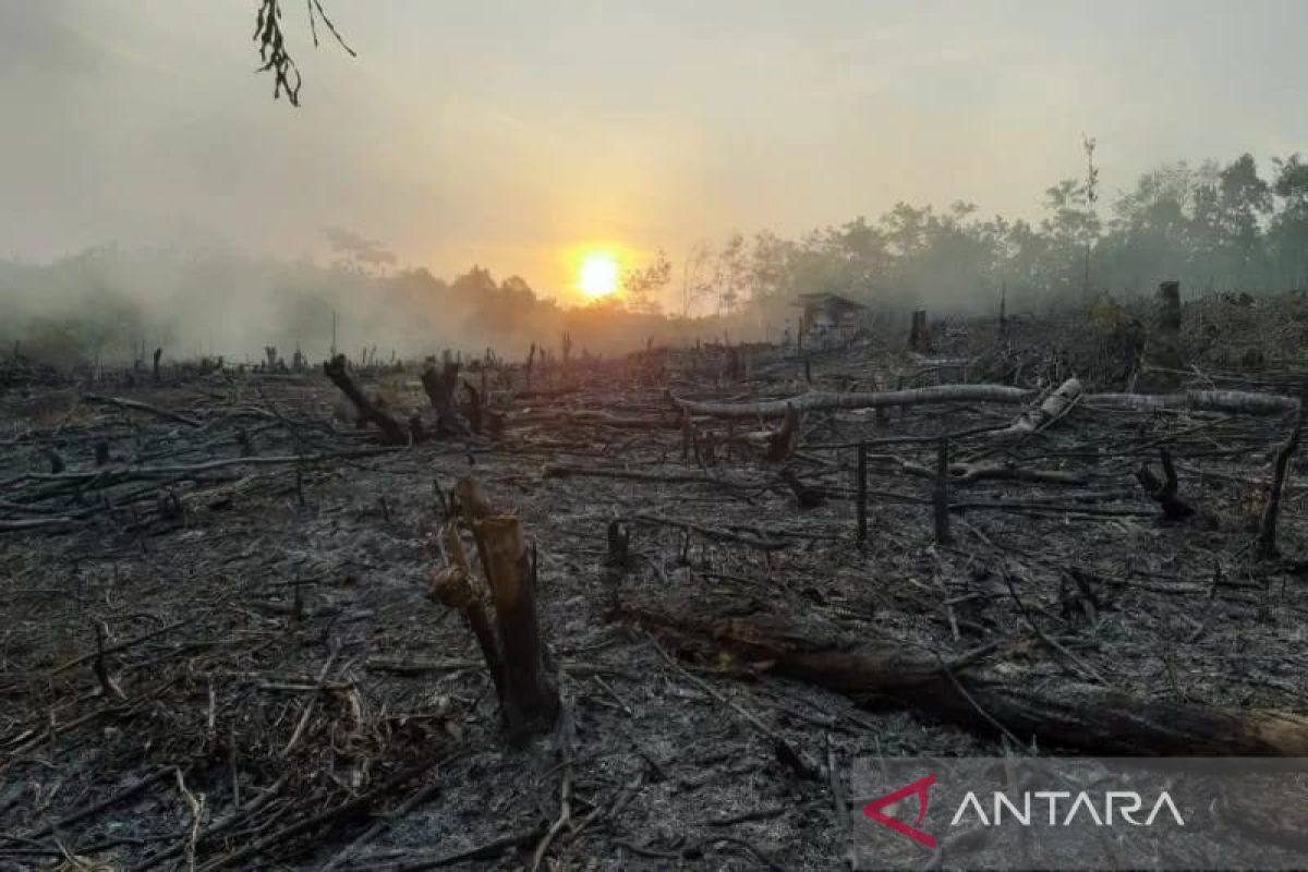 Kabupaten OKU Sumsel tetapkan status siaga karhutla