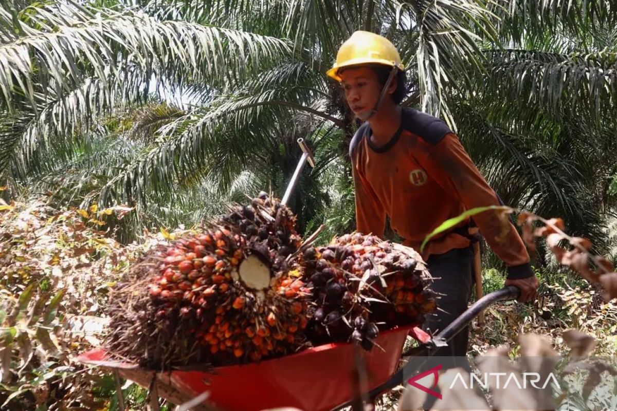 Disnaker Tapin beri jaminan 16 ribu buruh dapat THR 2022