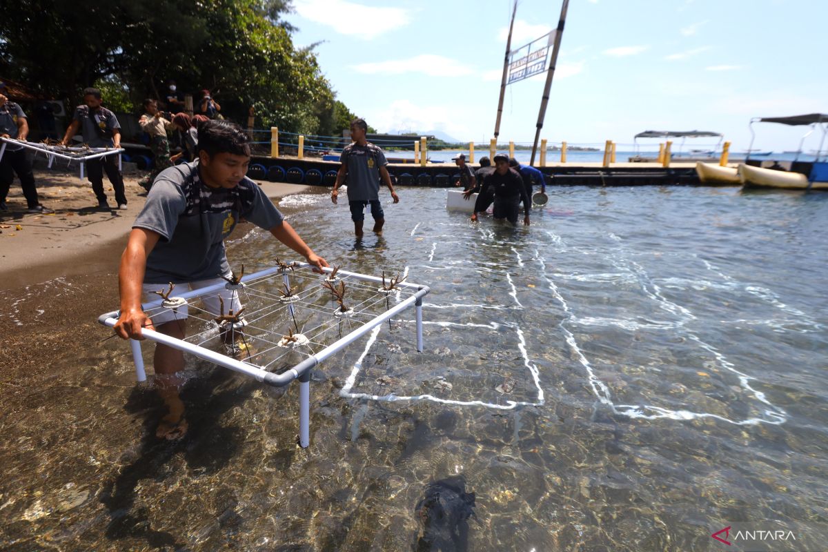 Bolstering community crucial in supporting marine preservation: BRIN