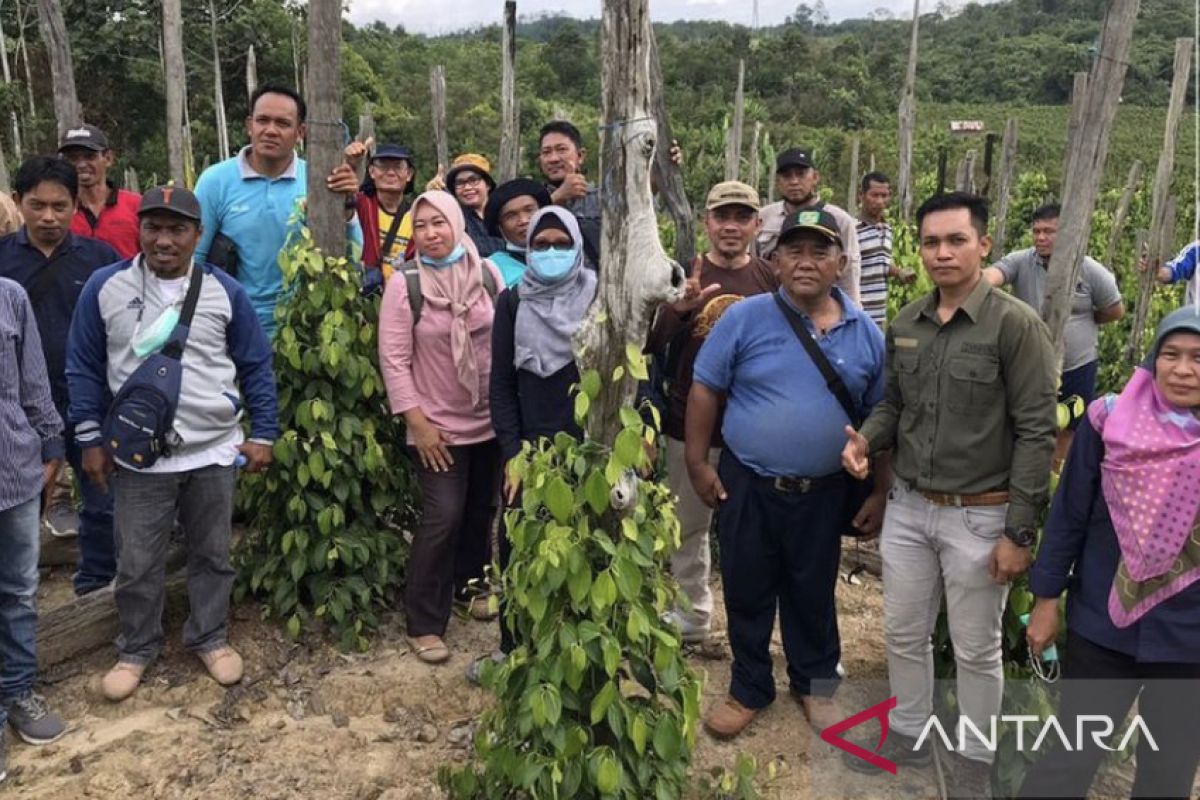 Disbun Kaltim komitmen tingkatkan kualitas pendamping perkebunan