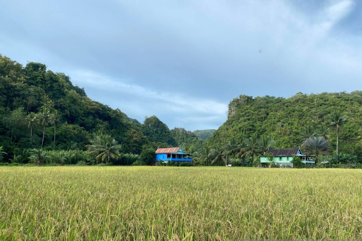 Kampung Massaloeng jadi andalan tarik wisatawan