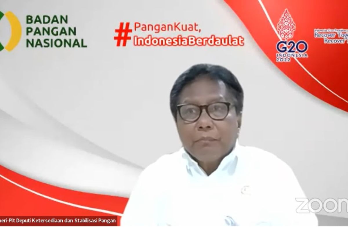 Bapanas optimalkan peran Bulog untuk lakukan cadangan pangan selain beras