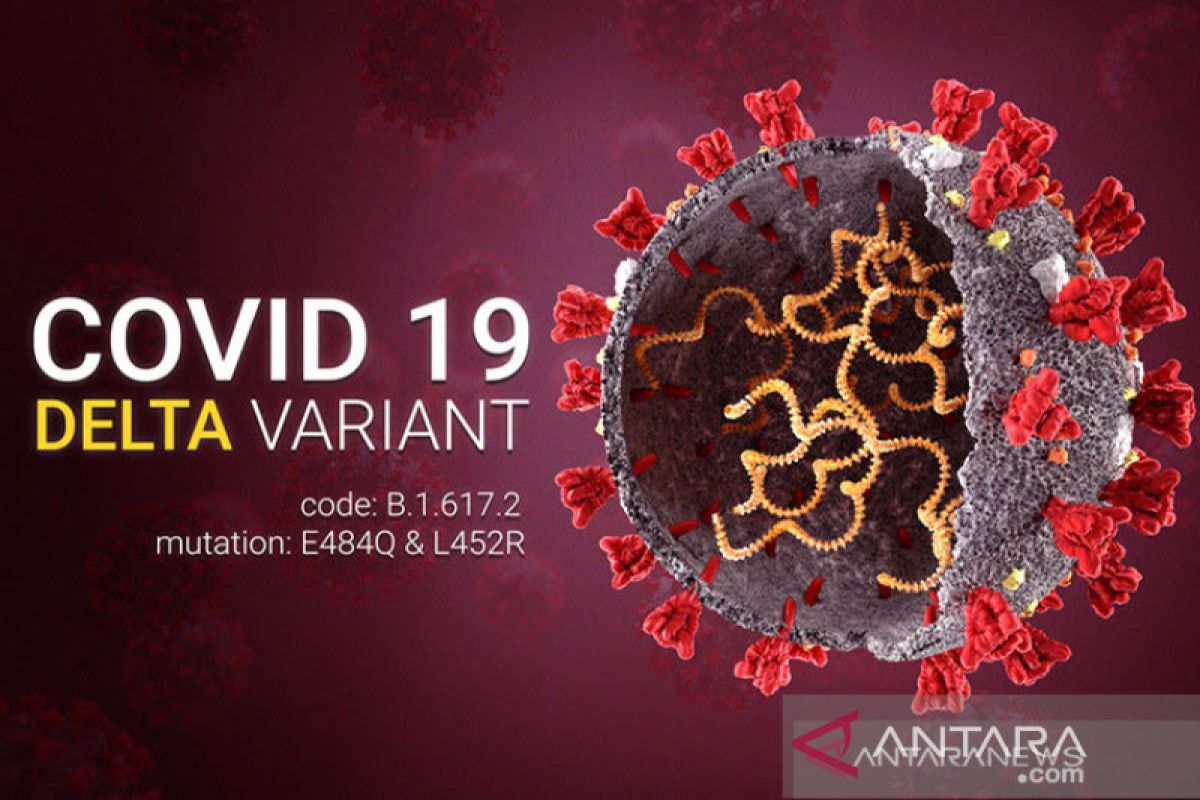 Ilmuwan:  Dua subvarian Omicron bisa picu gelombang baru COVID-19