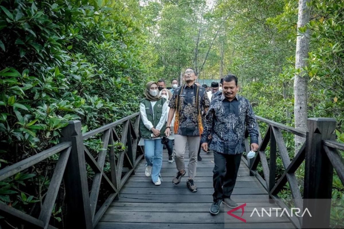 Menparekraf RI tunjuk Walikota Langsa jadi ketua mangrove se Indonesia