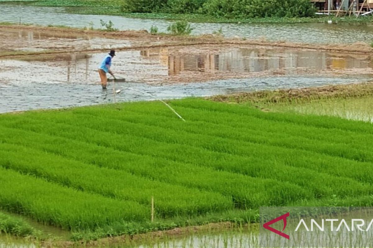 Pemkab Bekasi diminta untuk pertahankan Lahan Sawah Dilindungi dalam RTRW