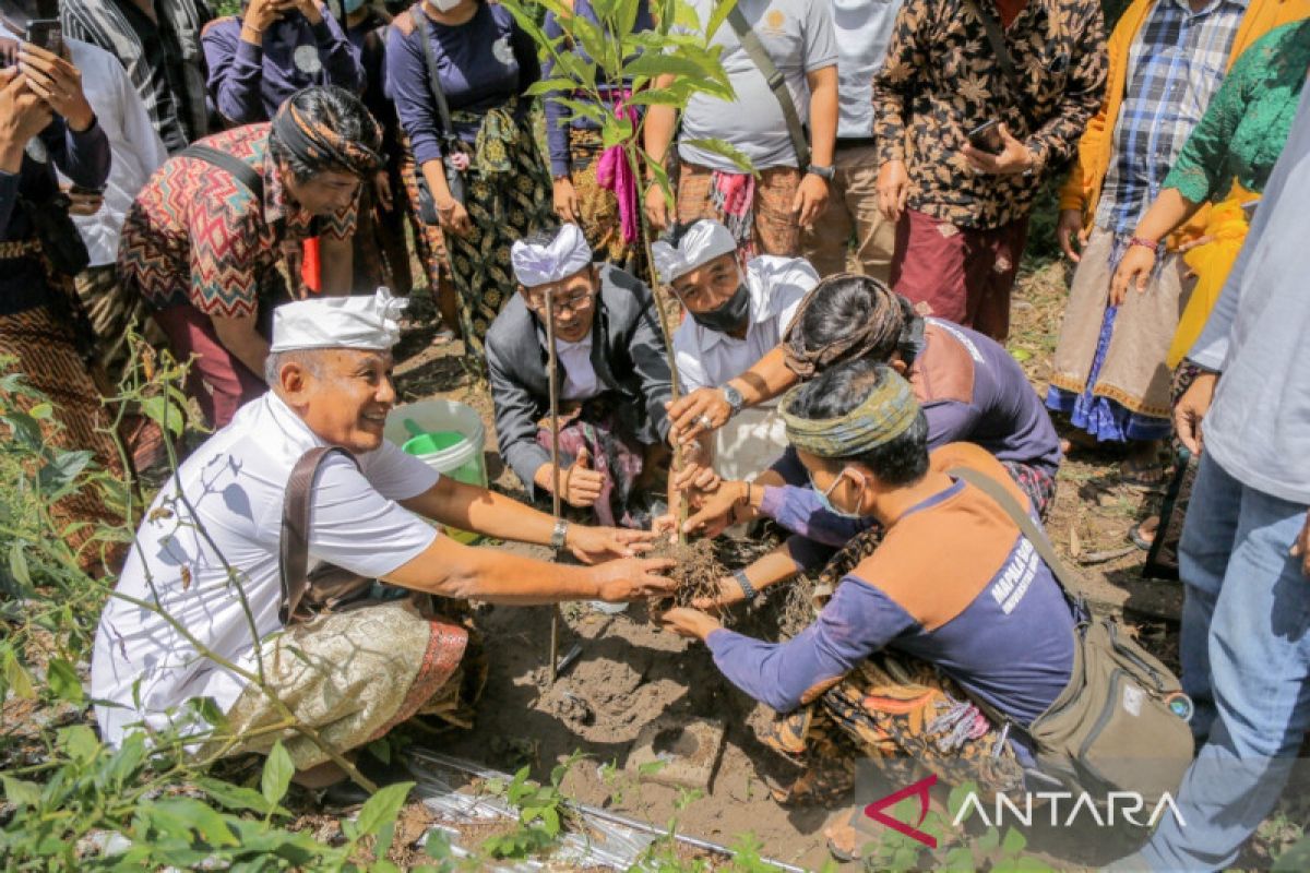 Yayasan Puri Kauhan Ubud: Penanaman pohon Tandur Taru Urip dimulai dari Desa Pinggan