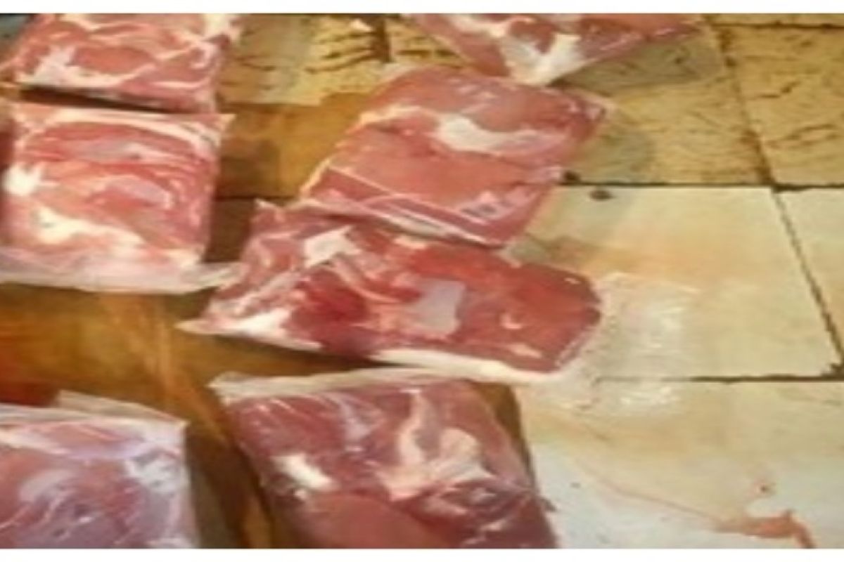 Bulog Jambi Operasi Pasar 10 ton daging kerbau beku jaga kestabilan harga