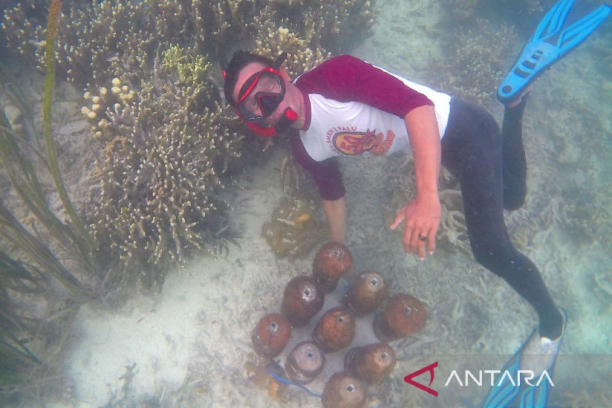 Masyarakat pulau di Touna budi daya terumbu karang dari  tempurung kelapa