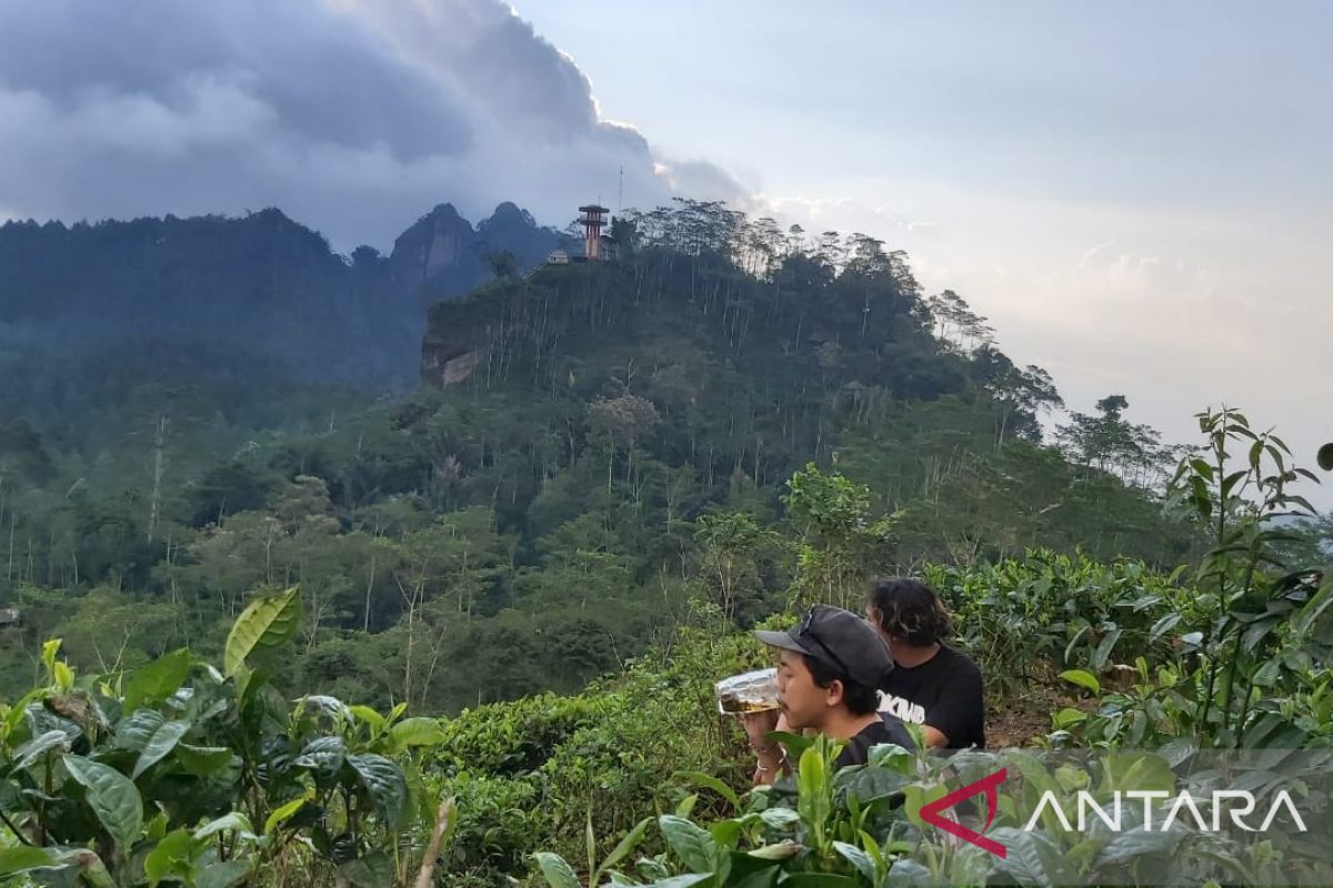 Bupati: Objek wisata Kulon Progo siap sambut wisatawan saat lebaran