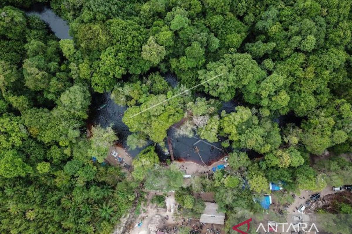 OKI susun dokumen perlindungan ekosistem gambut satu juta hektare