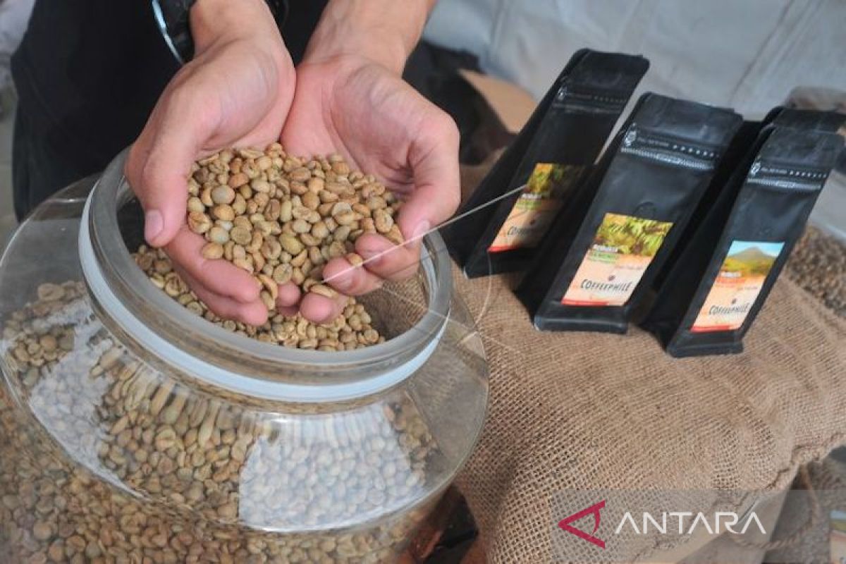 Pemprov Sumsel dorong produk kopi lokal  bersaing di pasar nasional