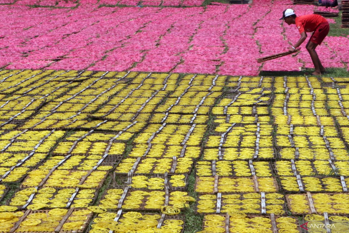 Statistics Indonesia to survey 42 million businesses in 2026 census