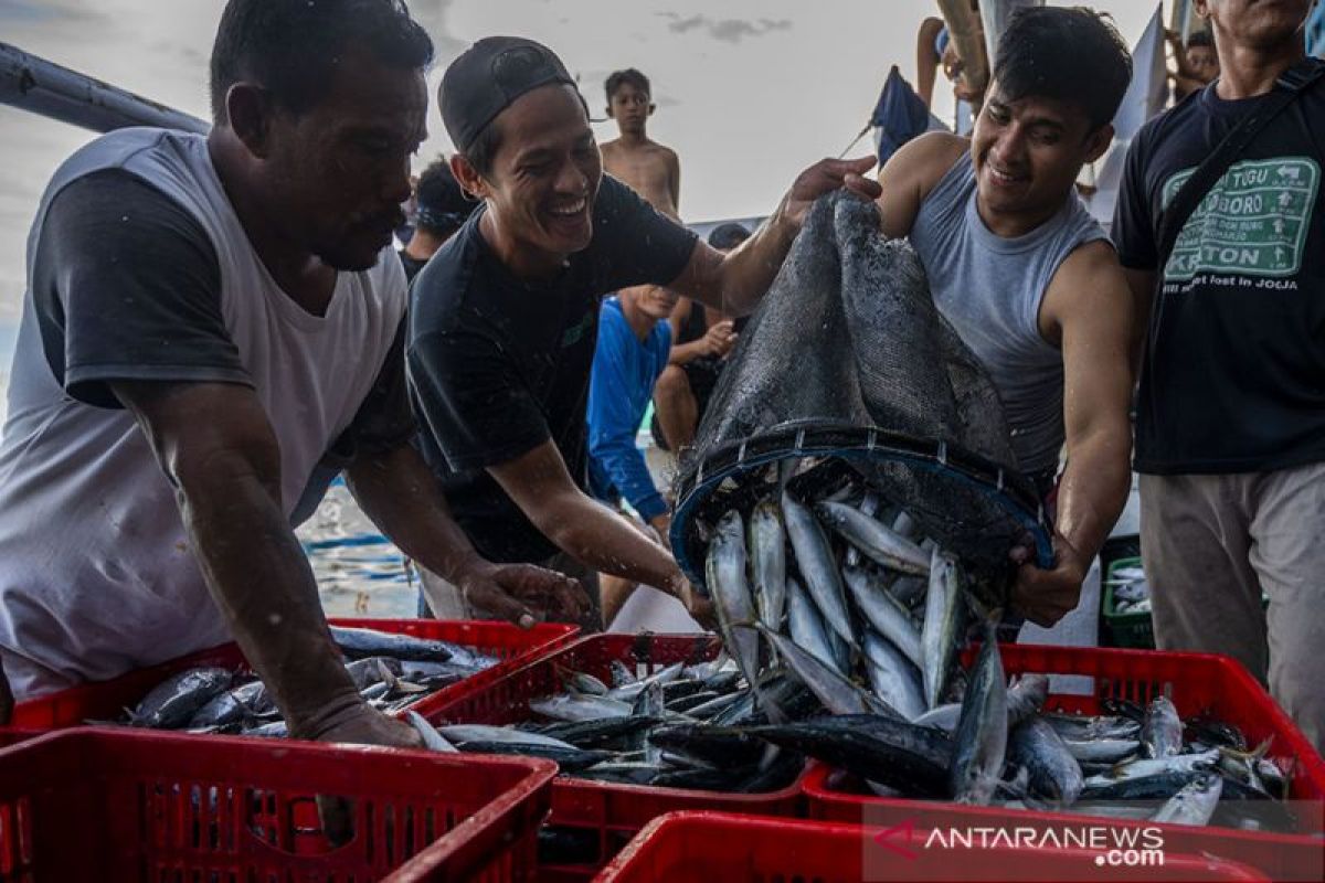 Pemprov Sulteng  jamin ketersediaan ikan laut