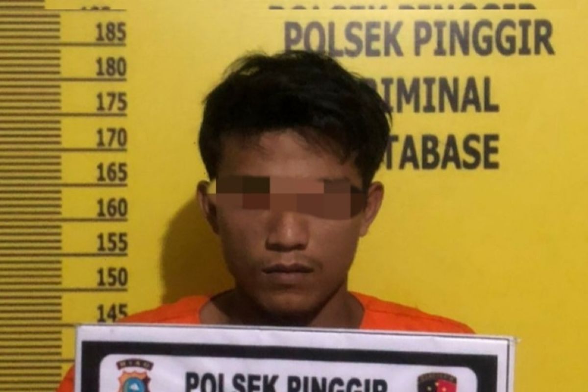 Cabuli gadis di bawah umur, pria asal Pinggir diringkus polisi