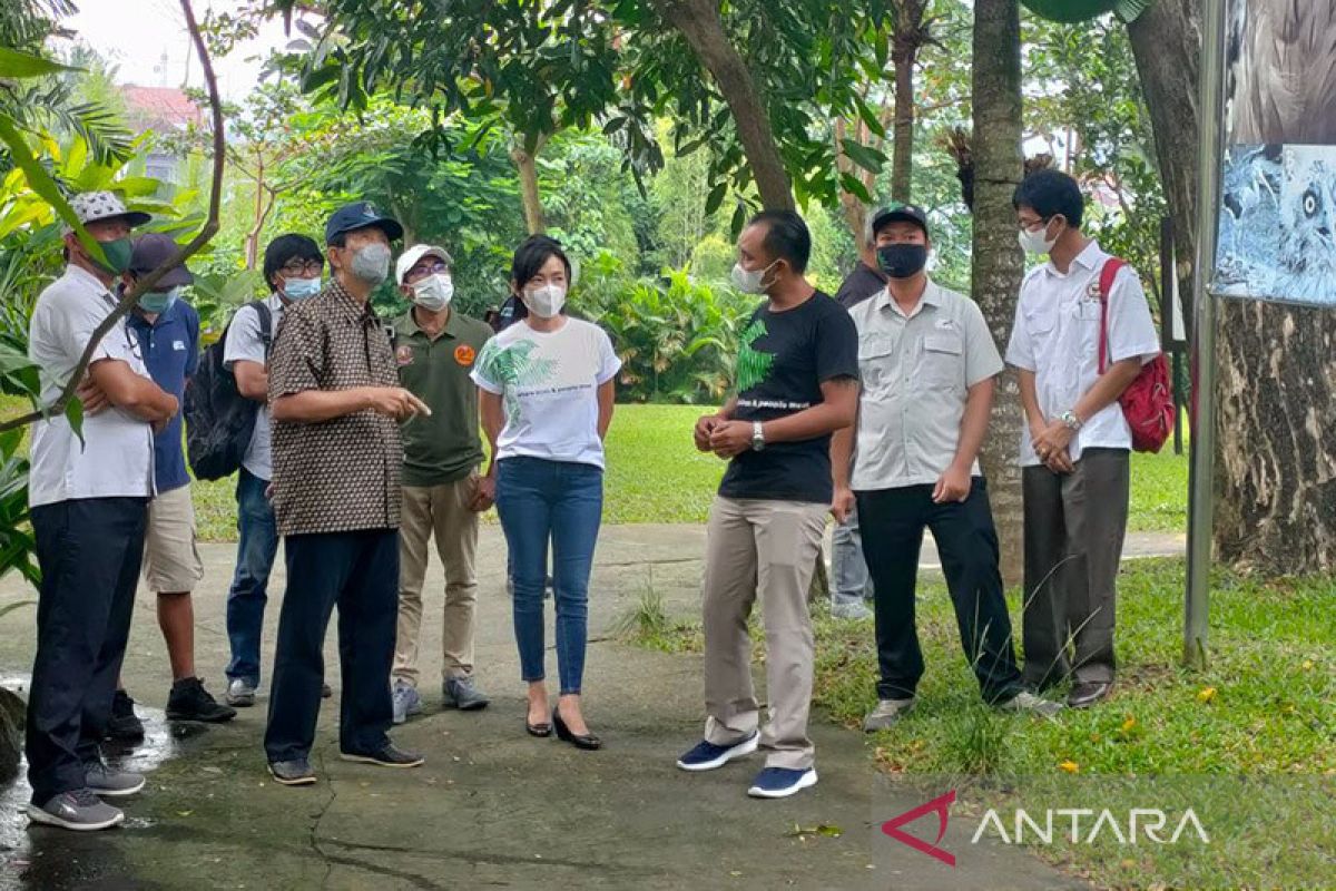 Anggota DPD apresiasi upaya konservasi Bali Bird Park selama pandemi