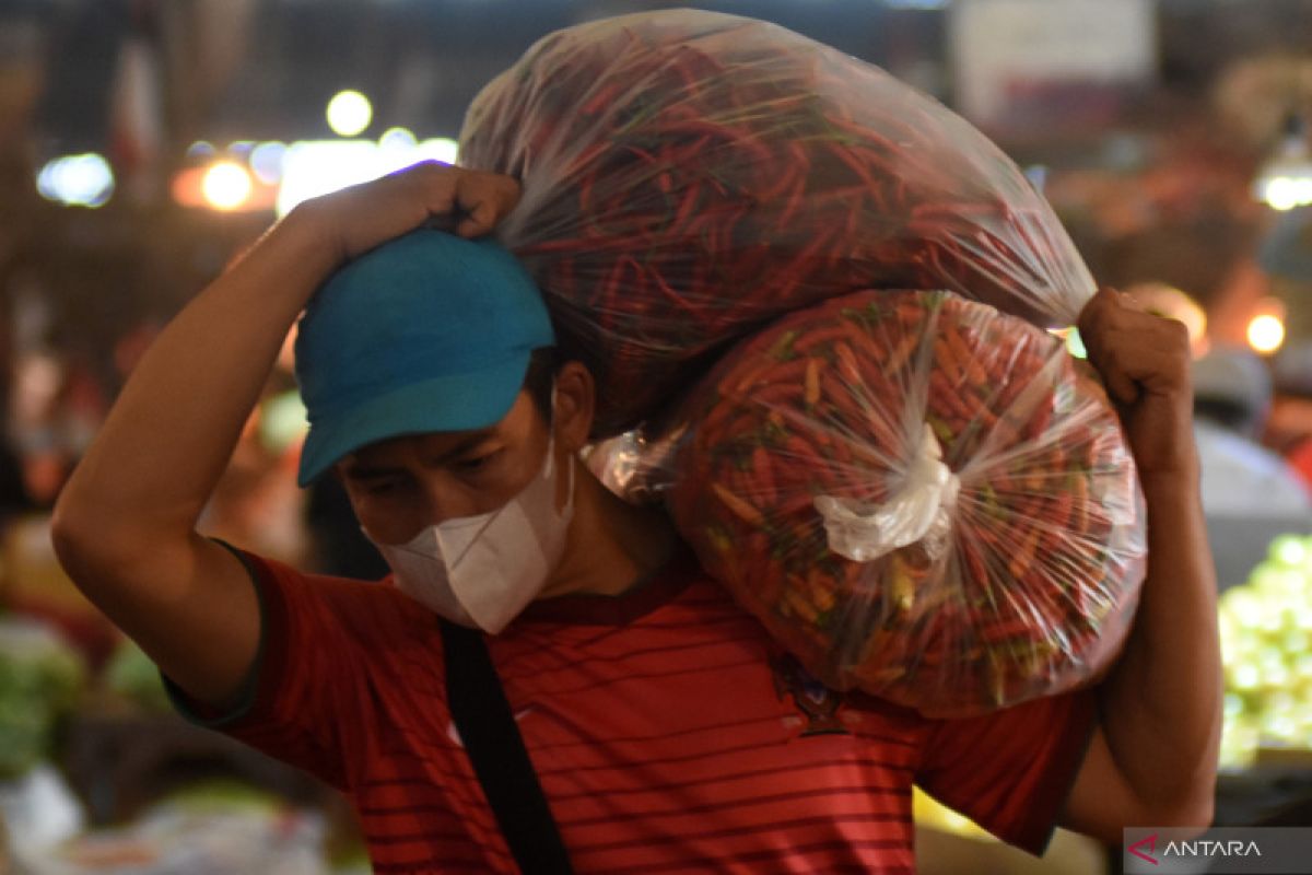 Kemarin, cabai rawit masih Rp120 ribu per kg sampai waspada banjir rob