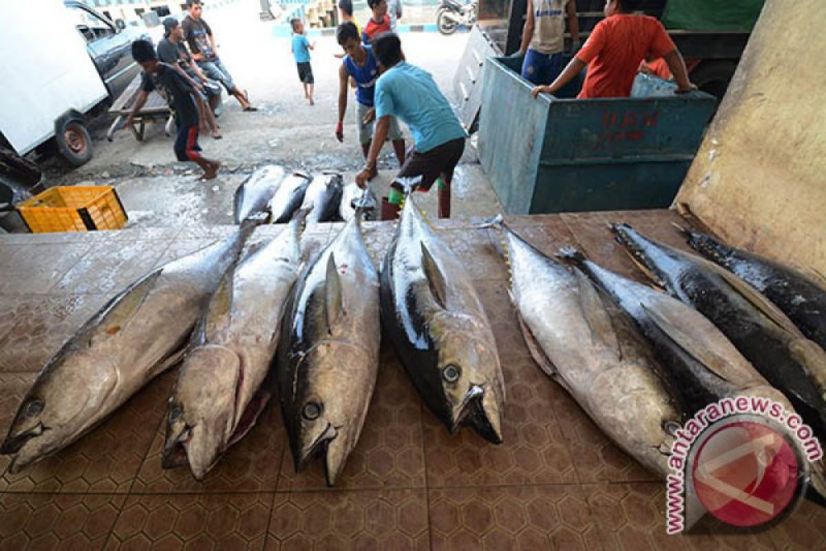 Pemprov Sulteng  dorong eksportir ikan tuna Donggala gunakan PEB