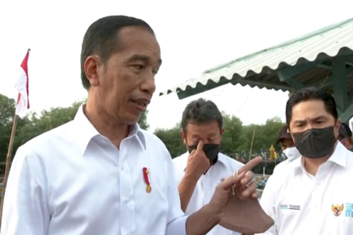 Dapat keluhan nelayan Gresik, Presiden Jokowi minta jajarannya segera tindak lanjuti