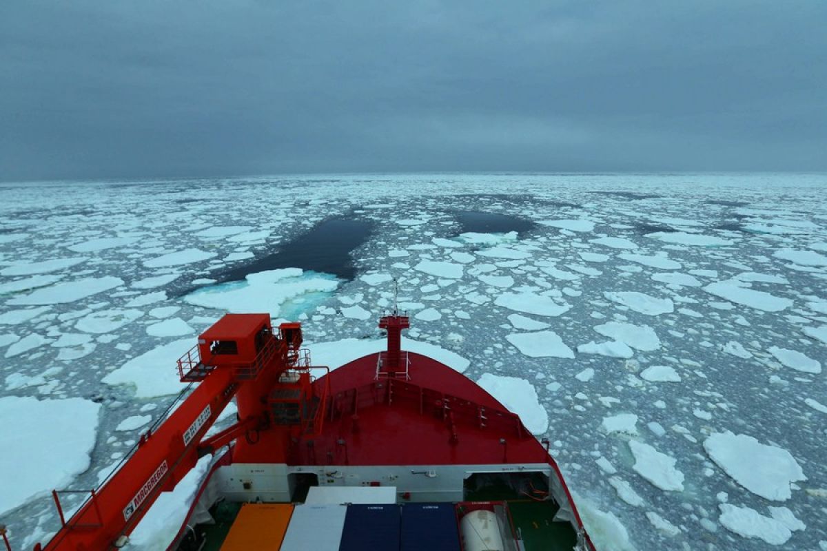Penelitian ungkap luas es laut Antarktika capai rekor terendah
