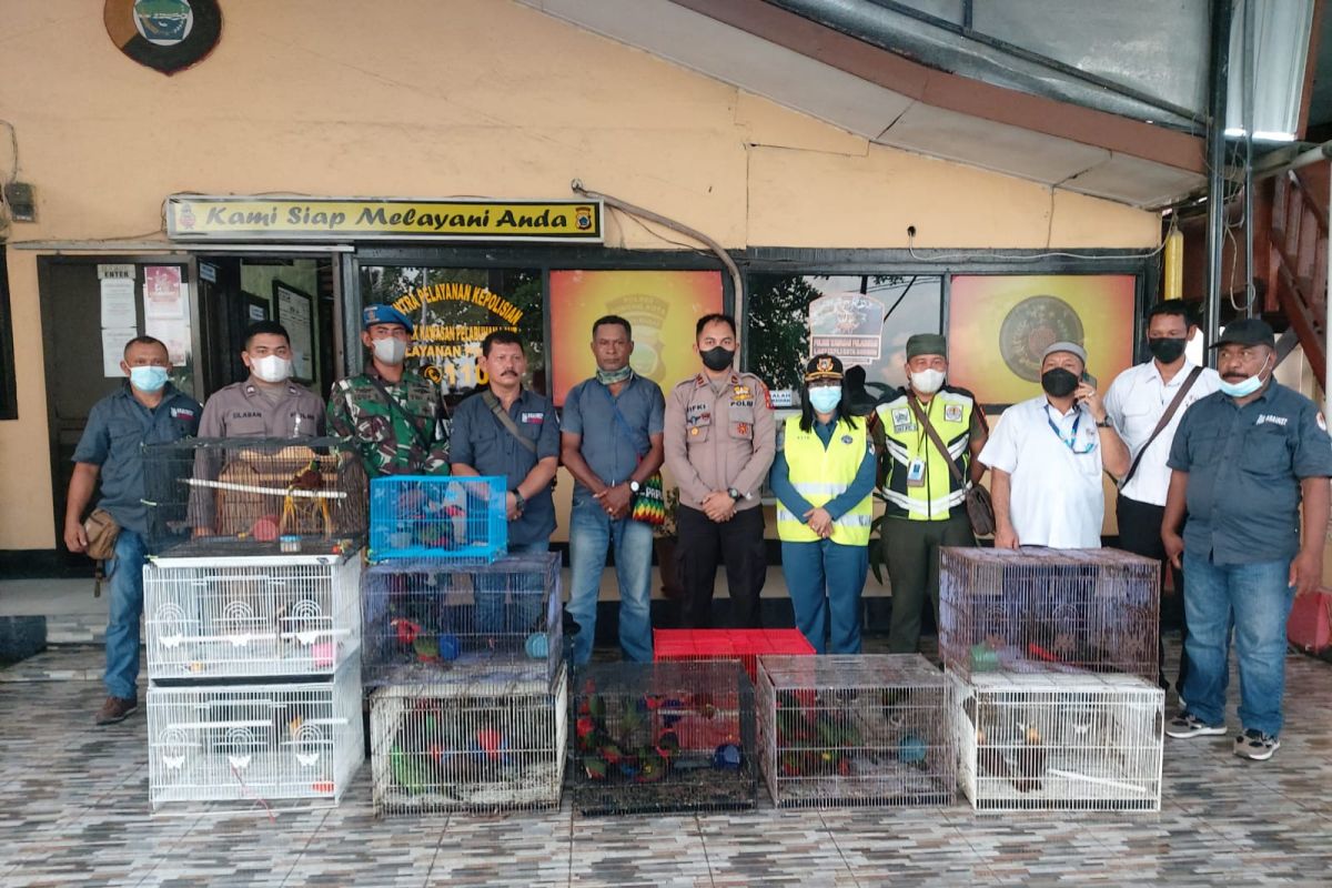 Sorong Port's authorities foil attempt to smuggle 81 endemic birds