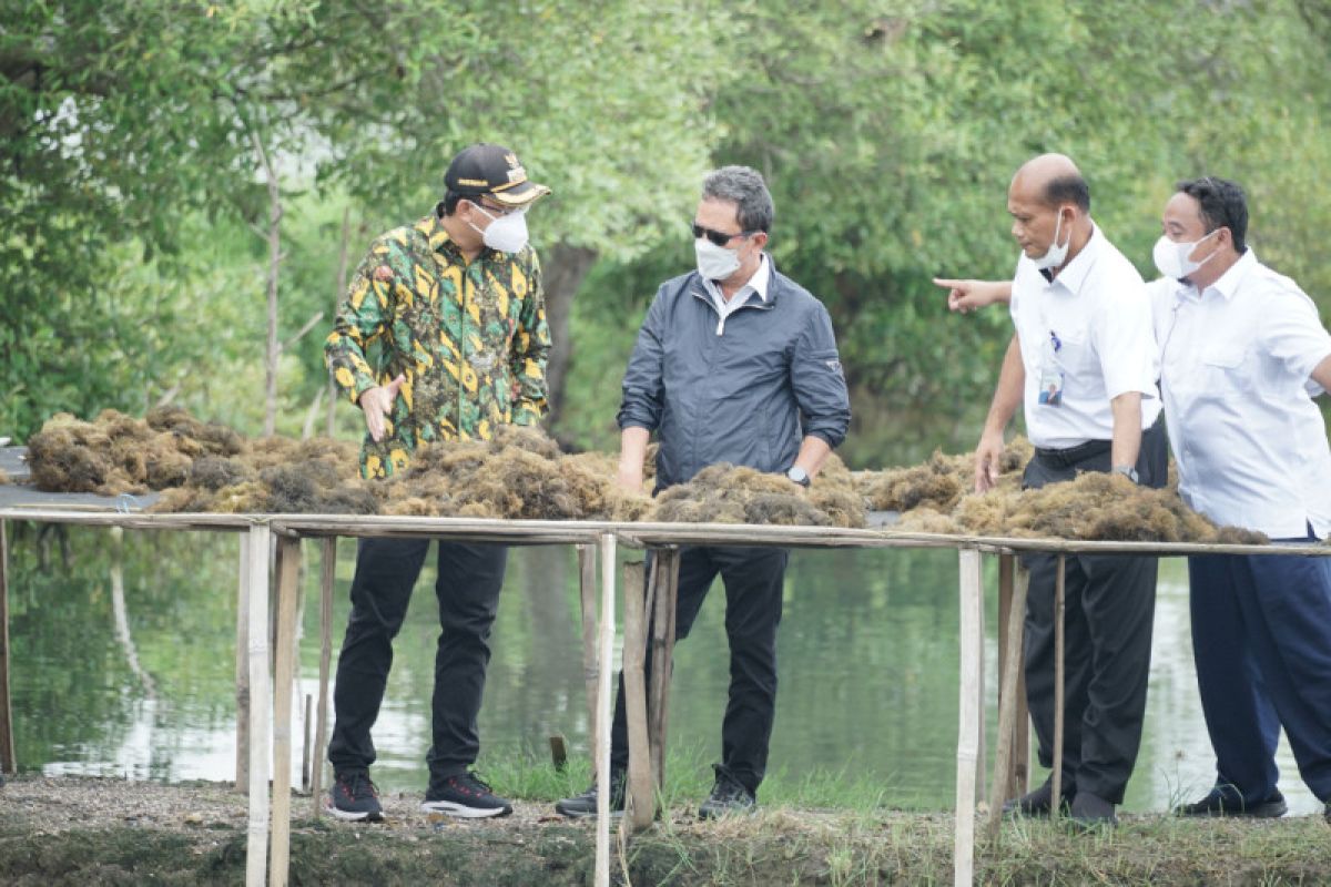 Menteri Trenggono canangkan Desa Kupang Sidoarjo jadi kampung rumput laut