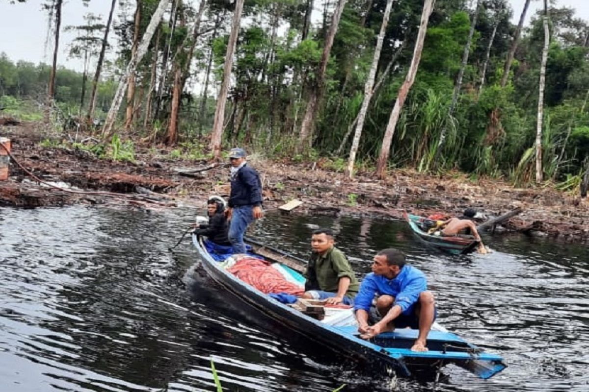 Seorang pekerja kembali tewas diterkam harimau di Muaro Jambi