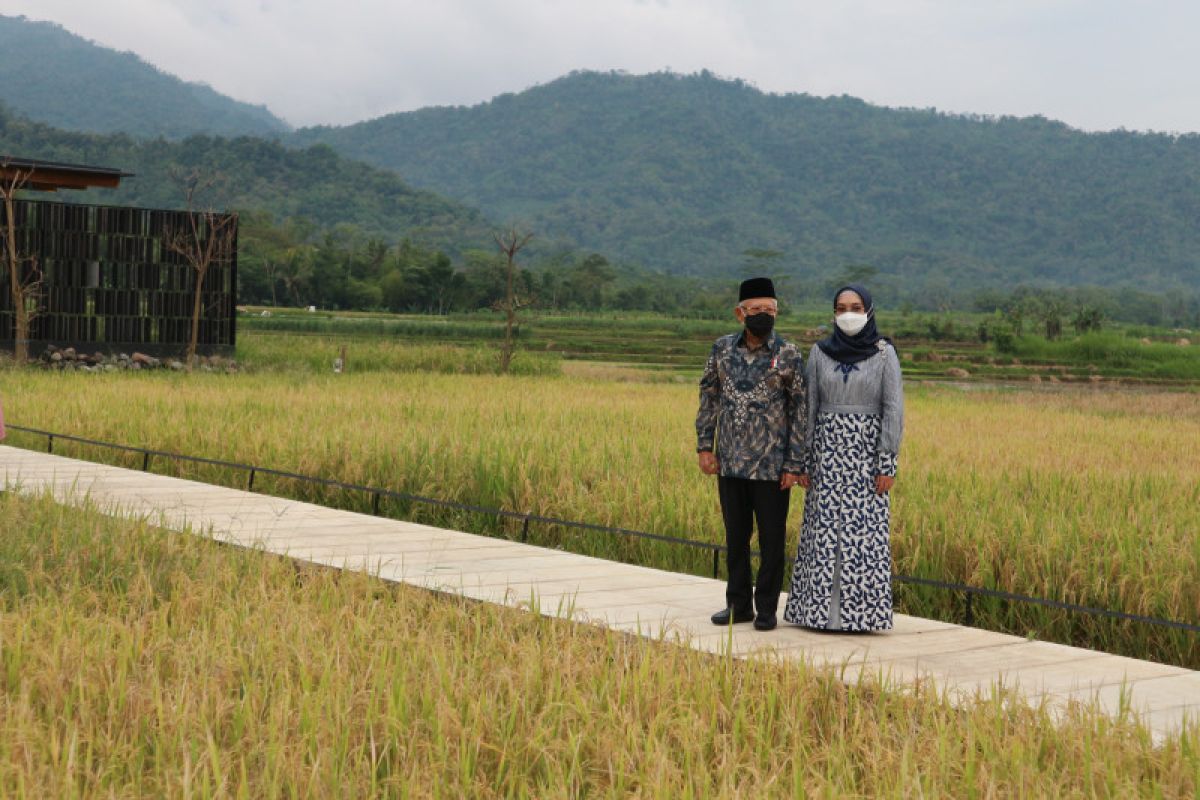 Wapres Ma'ruf Amin kagumi kawasan wisata Bukit Menoreh di Jawa Tengah