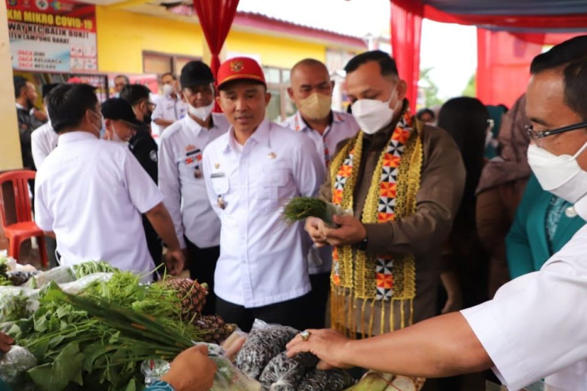 Bupati Lampung Barat sambut kunjungan tim peninjau lapangan Setmil