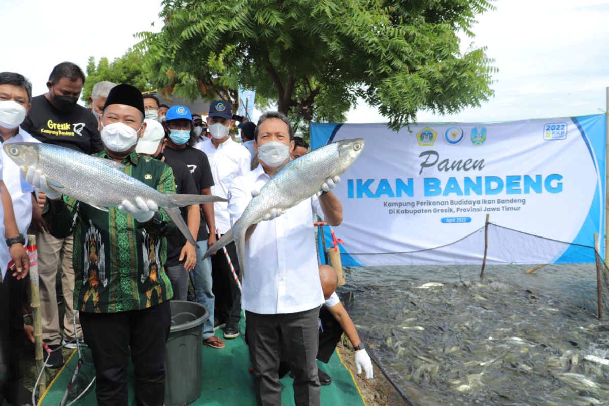 Dongkrak ekspor, Menteri Trenggono dorong peningkatan sertifikasi produk perikanan UMKM