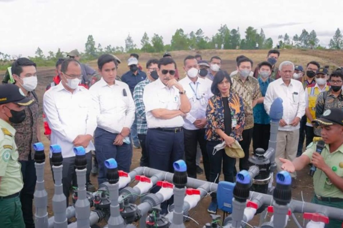 Polbangtan Medan dampingi petani di Food Estate Humbang Hasundutan