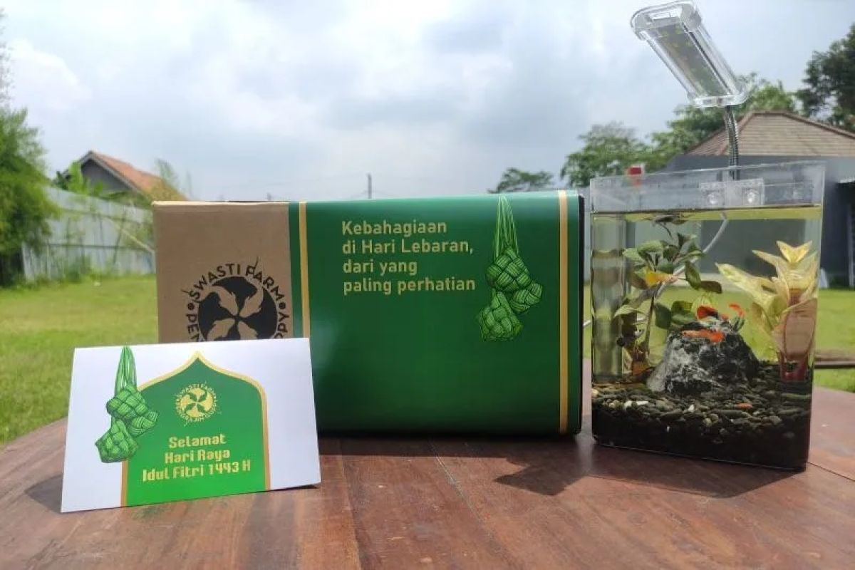 Butuh ide hampers kekinian, paket ini boleh dicoba