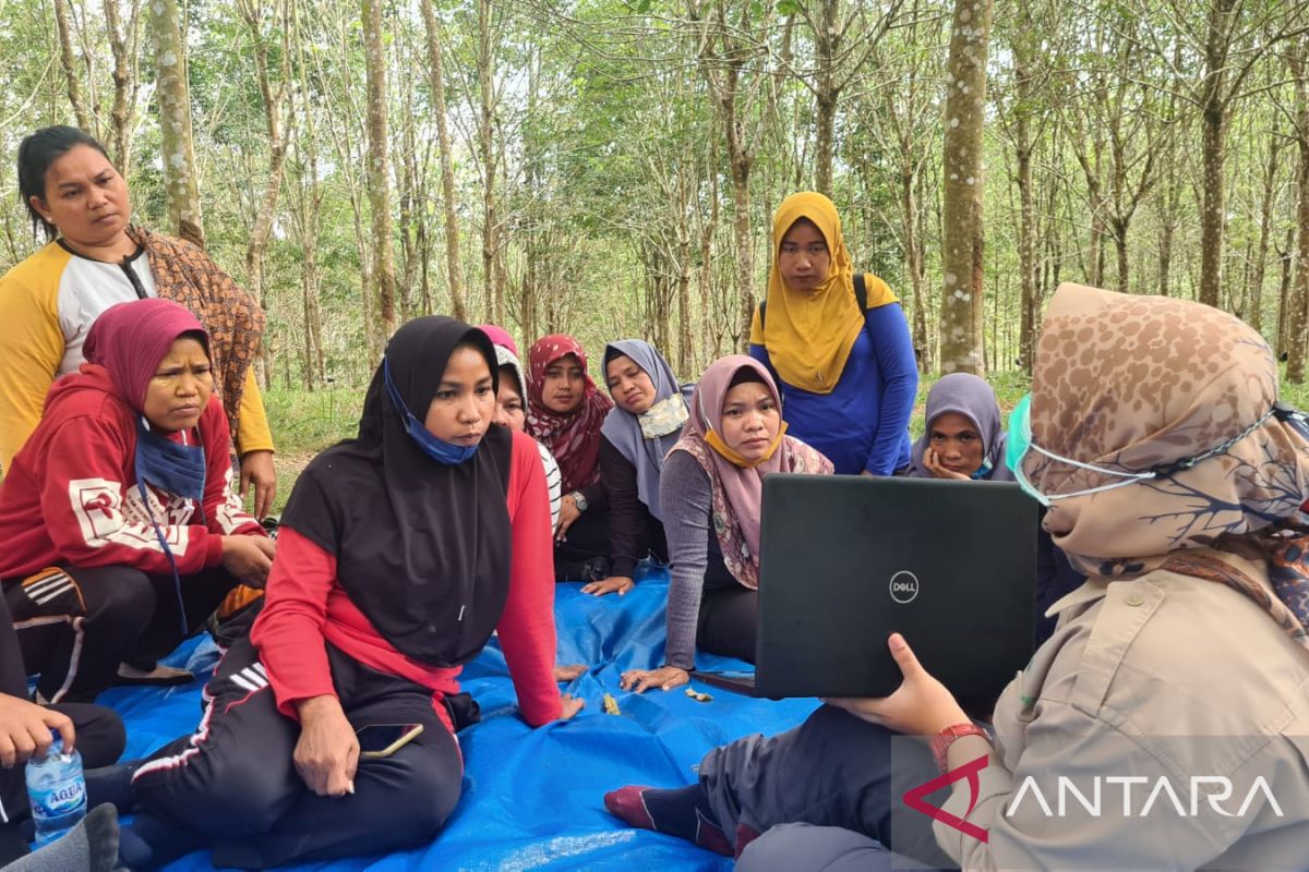 RLU tingkatkan peran kelompok wanita tani hutan