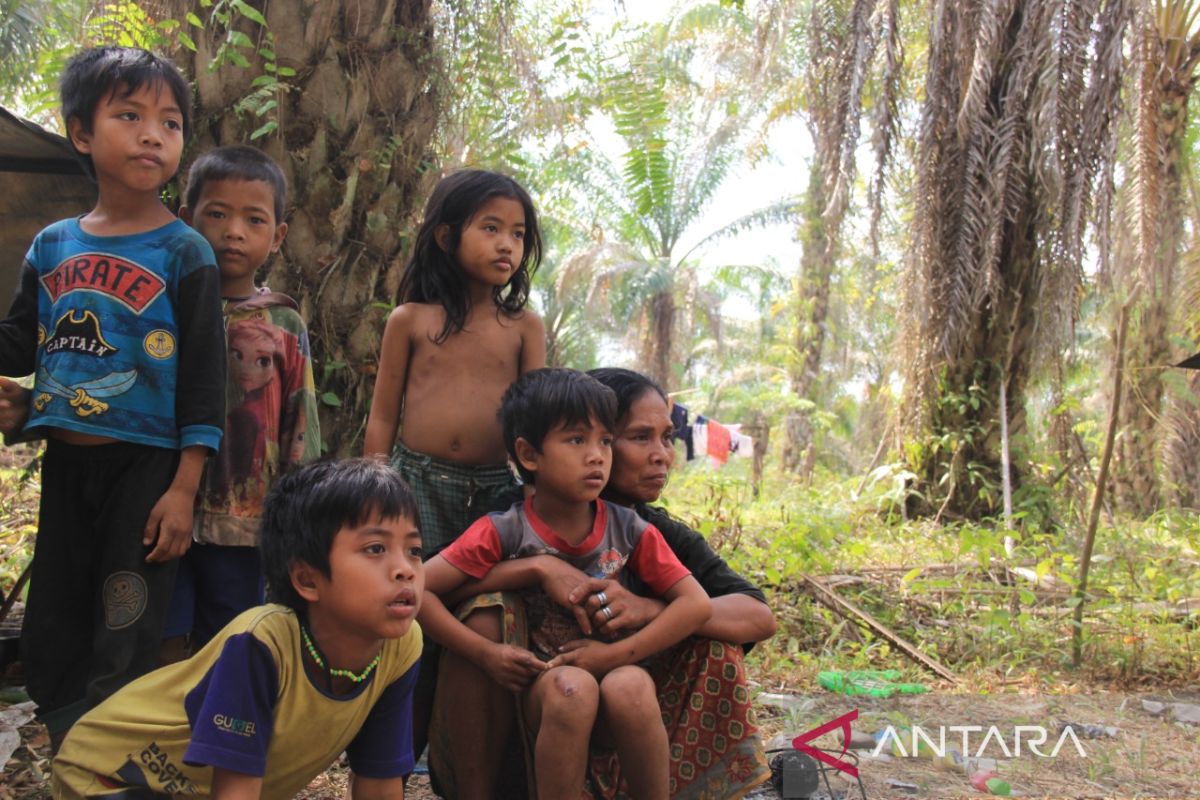 Orang rimba kehilangan budaya