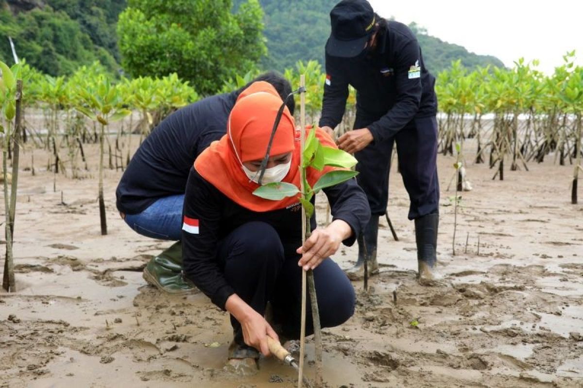 Gubernur Jawa Timur Khofifah ajak warga tanam pohon dan kurangi plastik