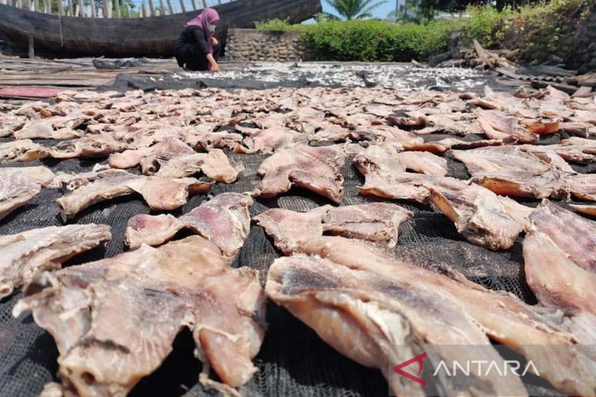 Produksi ikan asin di Aceh Timur capai 948,61 ton