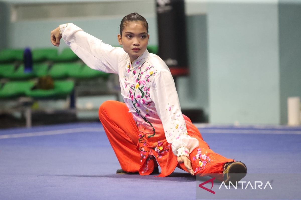 Timnas wushu libatkan penata rias artis profesional di SEA Games