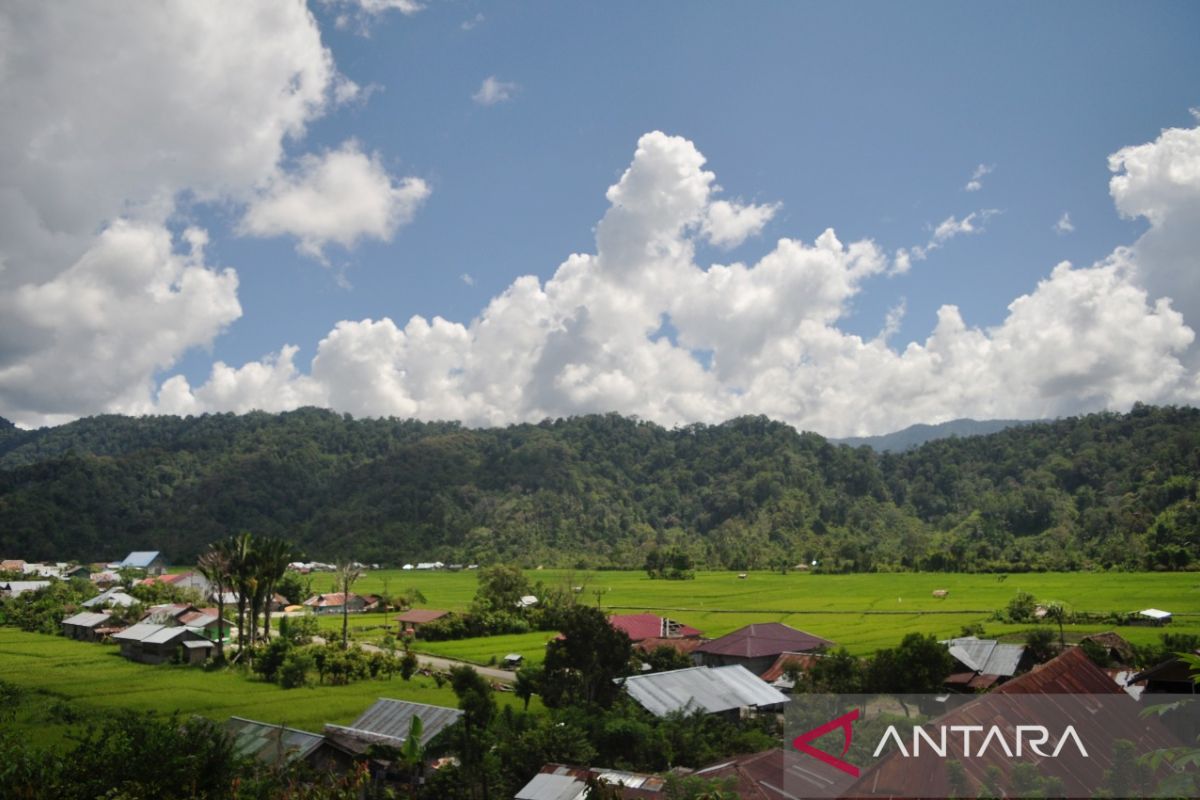 Kartini di Lembah Adat Toro Kabupaten Sigi