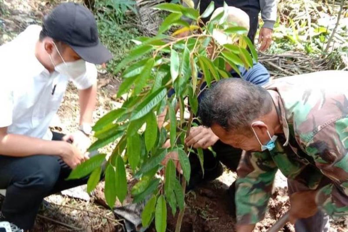 Di Kutai Kartanegara, penjualan bibit durian secara eceran lebih laku