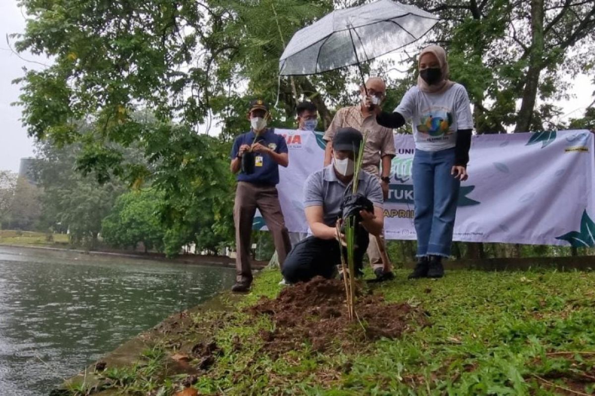 ILUNI UI tanam 5.000 akar wangi di Danau Puspa peringati Hari Bumi