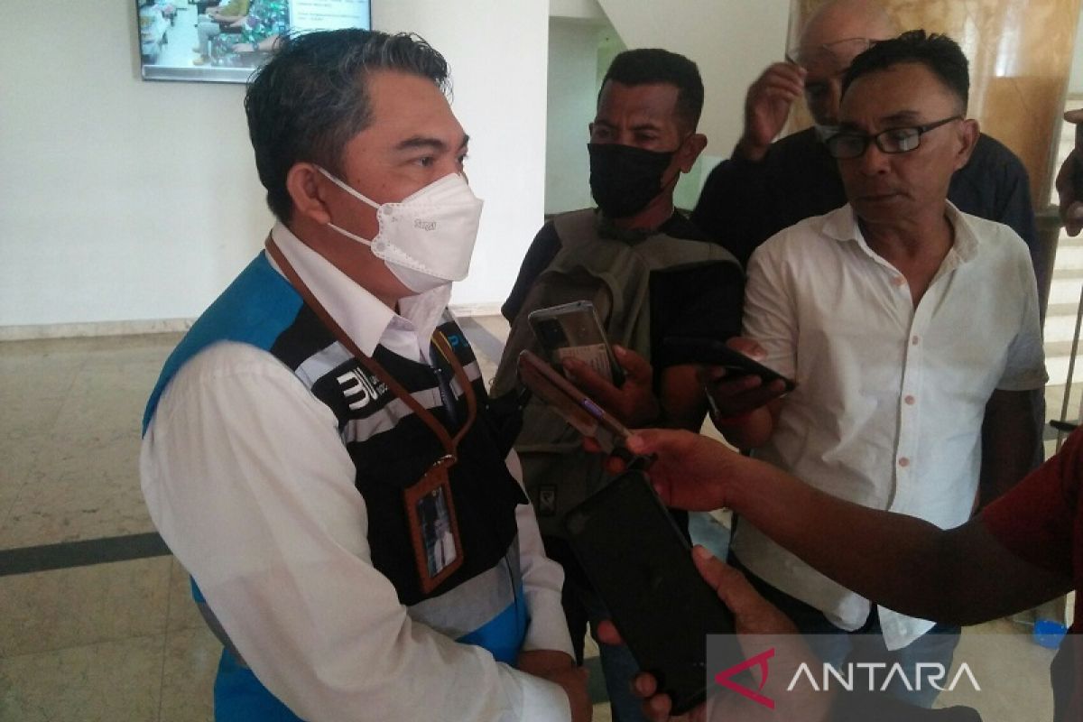 PLN amankan jaringan listrik Mako-Batabual Maluku dari kelelawar