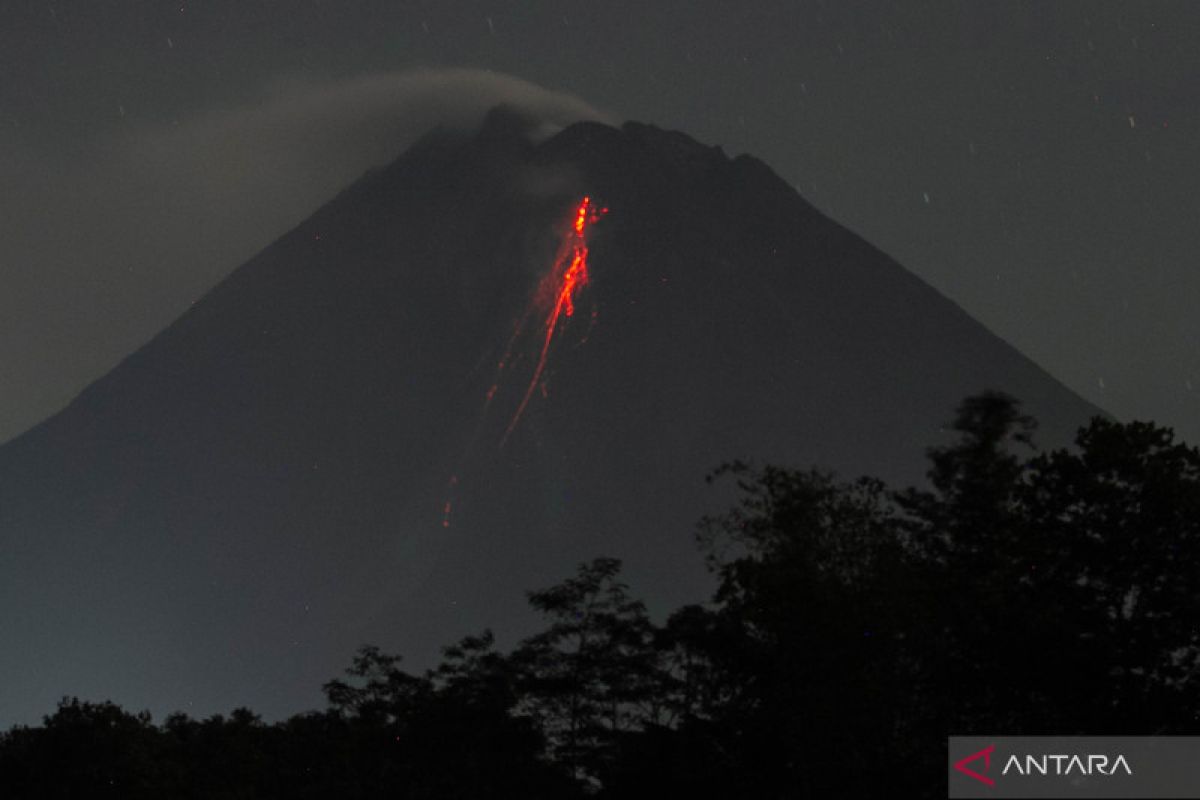 Merapi tujuh kali luncurkan guguran lava pijar sejauh 2.000 meter