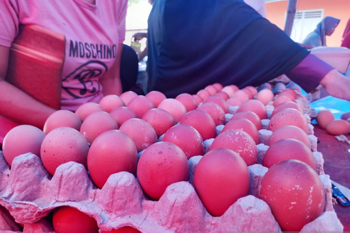 Harga telur ayam di Gorontalo Utara alami kenaikan